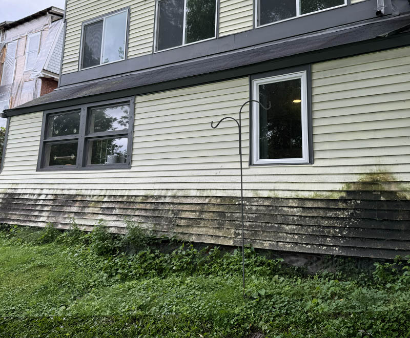 Dirty and moldy house before.